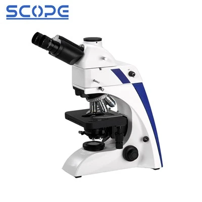 Phthis Trinocular Fluorescence Microscopy Auramina O Filter